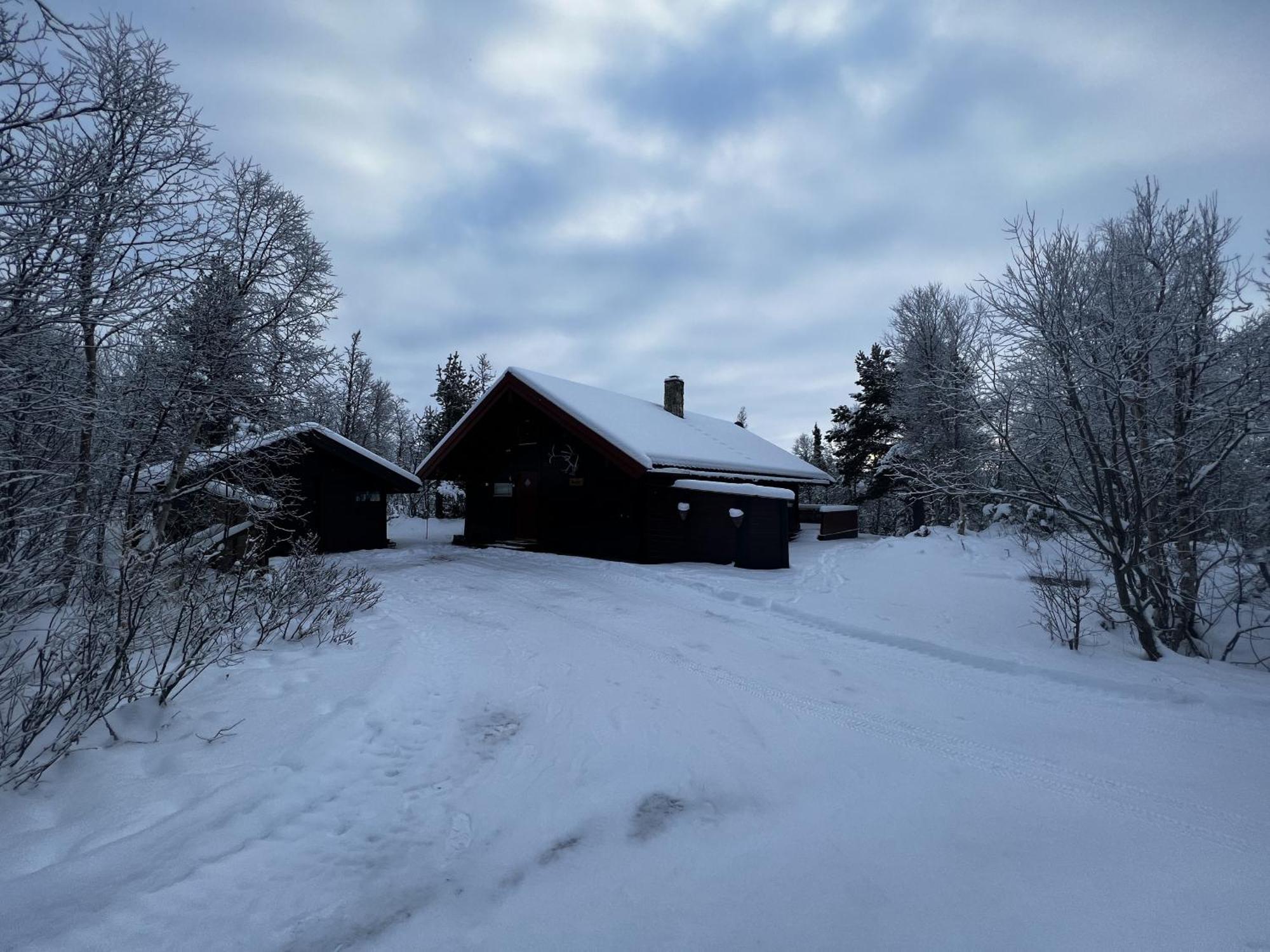 Koselig Hytte Med Usjenert Og Solrik Beliggenhet 게일로 외부 사진