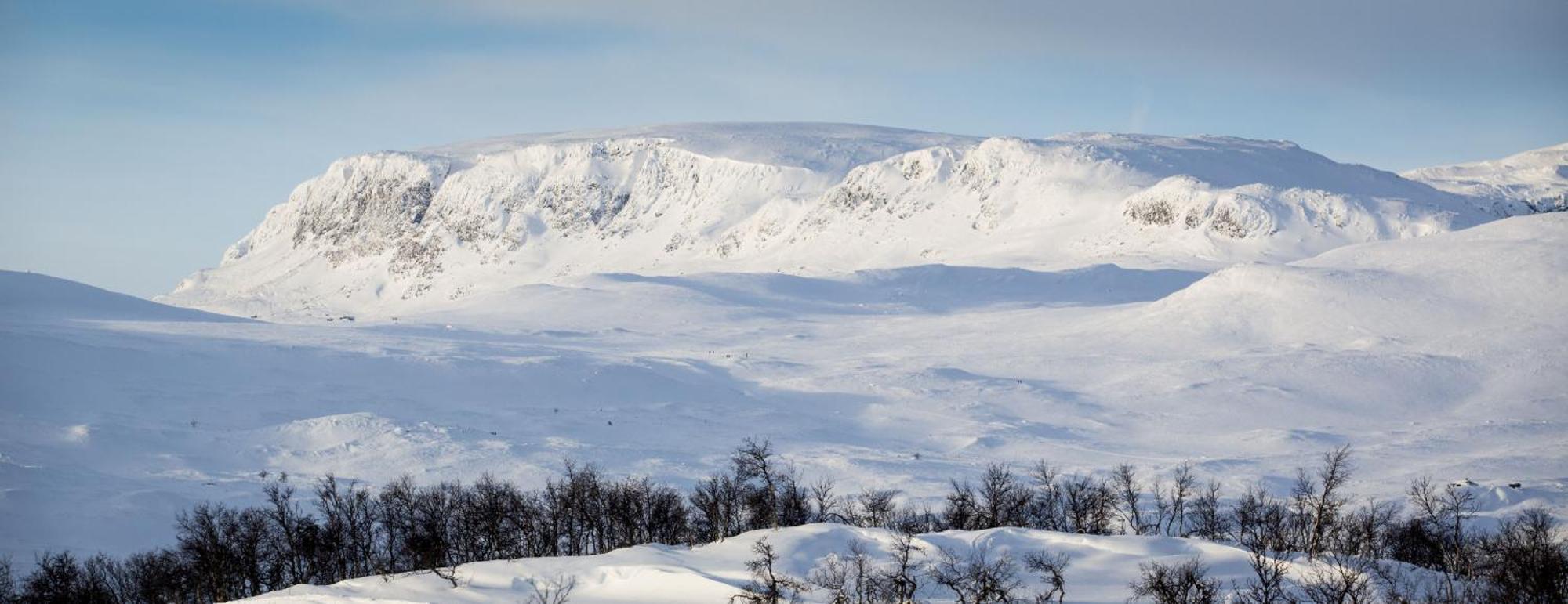 Koselig Hytte Med Usjenert Og Solrik Beliggenhet 게일로 외부 사진